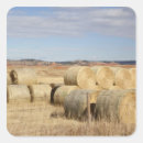 Search for hay bale stickers Fall