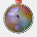 Search for point loma lighthouse San diego