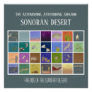 Search for desert birds art Arizona