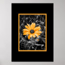 Search for african grey posters Floral
