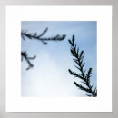Search for nature spirits posters Trees