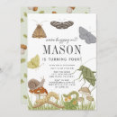 Search for mushroom invitations Insect