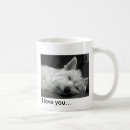 Recherche de chien westie tasses Occidental
