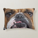 Search for english bulldog pillows Animals