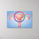 Search for female anatomy canvas prints Biomedical illustrations