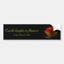 Search for botany bumper stickers Orange