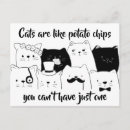 Search for crazy horizontal postcards Cats