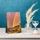 Search for rainbow plaques Bridge