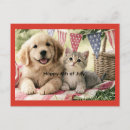 Search for dog flag postcards Fourth of july
