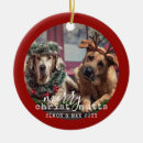 Search for pun ornaments Pet