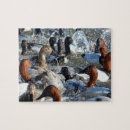 Recherche de canard puzzles Hiver