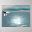 Search for clearing the art Calm