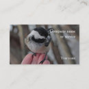 Recherche de oiseaux sauvages cartes visite Photographie