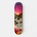 Search for kitty cat skateboards funny