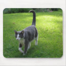 Search for harry mousepads Cat