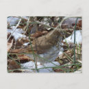 Recherche de ermite cartes postales Neige