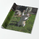 Search for predator wrapping paper Cat