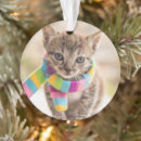Search for rainbow cat ornaments Kitten