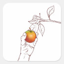 Search for fruit tree stickers Orchard