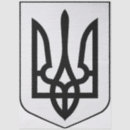 Search for patriotic tissue paper Ukrainian