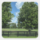 Search for lexington stickers Bluegrass
