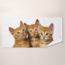 Search for kitten bath towels Animal