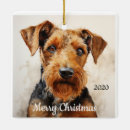 Search for airedale ornaments Watercolor