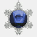 Search for x ray ornaments Medical