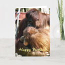 Search for orangutan cards Primate