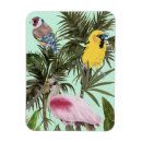 Search for bird of paradise gifts Jungle