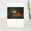 Search for pollinators cards Flower