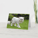Recherche de chat persan vœux cartes Drôle