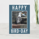 Search for birdwatcher cards Birder