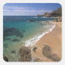 Search for baja stickers North america