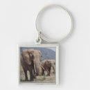 Search for colourful elephant keychains Calf