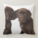 Search for chocolate labrador pillows Animal