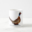 Recherche de faisan tasses Nature