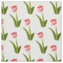 Recherche de rose de tulipe photographie Élégant