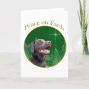 Search for chocolate labrador christmas cards Dog