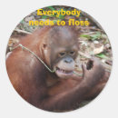 Recherche de orthodontiste autocollants Fil