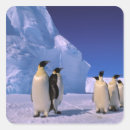 Search for antarctic stickers Pete oxford