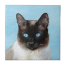 Search for siamese cat tiles Cute