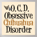 Search for funny chihuahua posters Chihuahuas