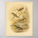 Search for brown color posters Antique