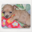 Recherche de étreintes tapis souris Chiot