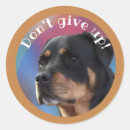 Search for dont labels Encouragement