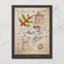 Search for kitchen painting postcards Illustration