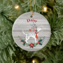 Recherche de chien dalmatien ornements Pour tous