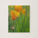 Recherche de coquelicots puzzles Floraison