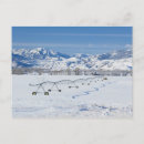 Search for mt postcards Morning